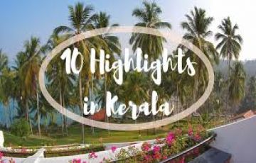 Ecstatic 8 Days Pickup Point to munnar sightseeing Tour Package