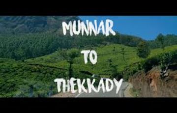 4 Days 3 Nights munnar, munnar sightseeing, thekkady and pickup point Honeymoon Holiday Package