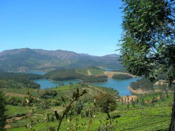 Beautiful 4 Days bangalore to ooty Tour Package