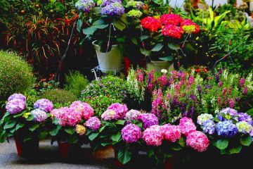 Beautiful 4 Days bangalore to ooty Tour Package