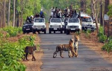 Family Getaway 6 Days 5 Nights new delhi Vacation Package