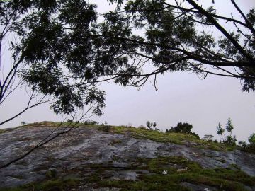 Experience 4 Days 3 Nights kodaikanal Tour Package