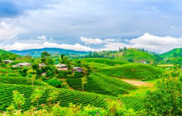 3 Days 2 Nights darjeeling Friends Trip Package