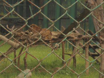 Family Getaway 5 Days pahalgam Tour Package