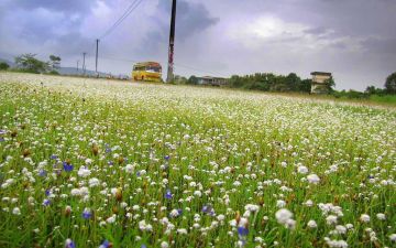 Amazing 3 Days 2 Nights kannur Holiday Package