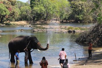 Memorable 3 Days Mysore to coorg Vacation Package