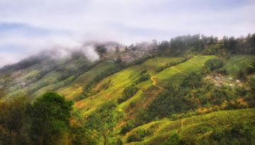 Beautiful 5 Days gangtok Family Trip Package