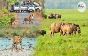Magical 4 Days jim corbett Trip Package
