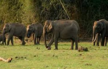 4 Days 3 Nights Mumbai to khandala Cruise Holiday Package