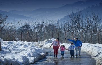 7 Days 6 Nights Chandigarh  Delhi to shimla full day trip to kufri  local  Trip Package