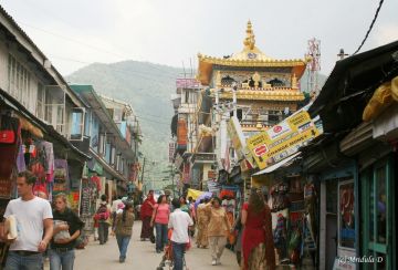 Family Getaway 10 Days Amritsar to shimla Trip Package