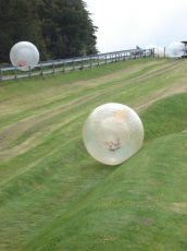 5 Days 4 Nights Manali Tour Package by Swaraj Holidays