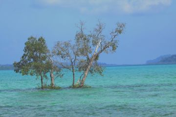 6 Days 5 Nights Port Blair to havelock island Trip Package