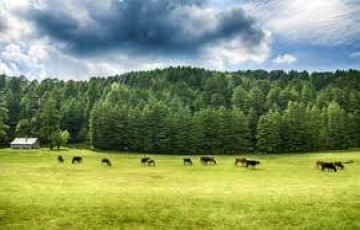 6 Days 5 Nights solang valley Culture and Heritage Tour Package