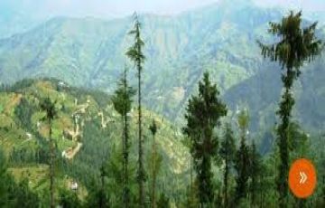 Magical 4 Days Manali to shimla Holiday Package