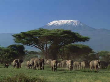 Beautiful 3 Days 2 Nights amboseli national park Trip Package