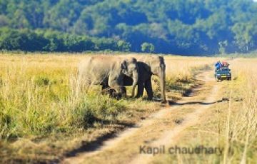 Beautiful 3 Days 2 Nights jim corbett Vacation Package