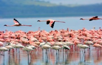 Family Getaway 4 Days 3 Nights nairobi to samburu Vacation Package