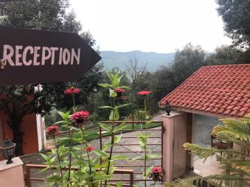 Amazing 3 Days jim corbett Holiday Package