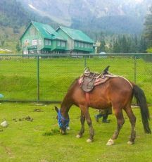 6 Days srinagar, pahalgam, gulmarg with srinagar house boat Hill Stations Trip Package