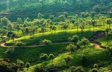 2 Days shimla and manali Wildlife Tour Package