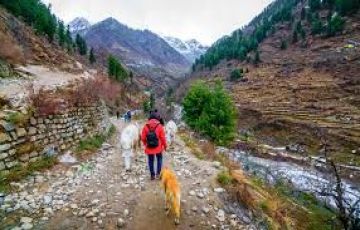 4 Days 3 Nights shimla, manali and solang valley Family Holiday Package