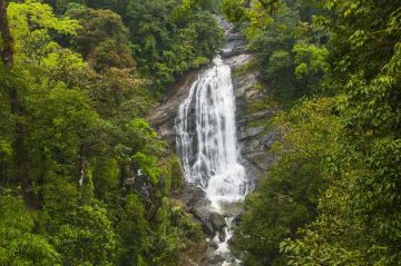 Family Getaway 4 Days munnar Vacation Package