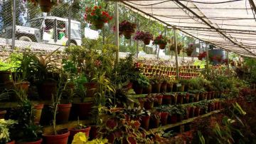 Family Getaway 4 Days munnar Vacation Package