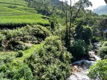 Family Getaway 4 Days munnar Vacation Package