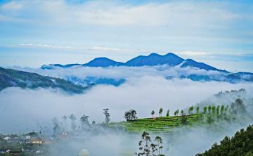 Family Getaway 4 Days munnar Vacation Package