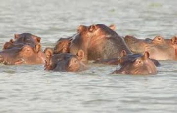 Magical 7 Days nairobi to samburu Tour Package