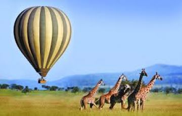 Amazing 7 Days nairobi to amboseli Tour Package
