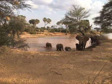 Beautiful 8 Days 7 Nights samburu Tour Package