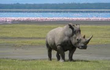 Beautiful 8 Days 7 Nights samburu Tour Package