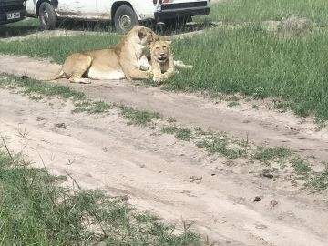 Beautiful 8 Days 7 Nights samburu Tour Package
