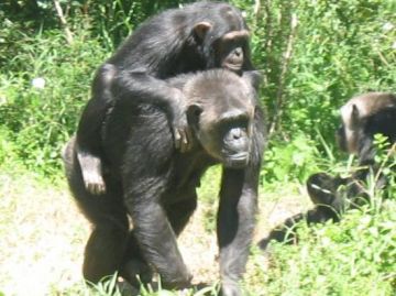 Beautiful 8 Days 7 Nights samburu Tour Package