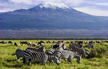 Amazing 9 Days nairobi to amboseli Tour Package