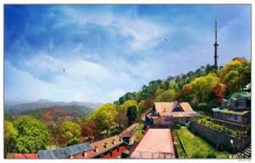 Best 3 Days 2 Nights kasauli Friends Holiday Package