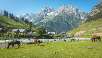6 Days 5 Nights Srinagar to sonamarg Tour Package