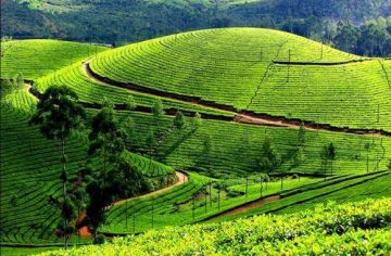 Heart-warming 6 Days 5 Nights thekkady Holiday Package