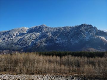 Pleasurable 4 Days 3 Nights Manali Vacation Package by Trip India Trip