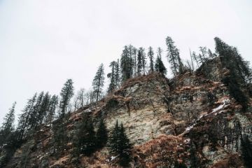 Pleasurable 4 Days 3 Nights Manali Vacation Package by Trip India Trip