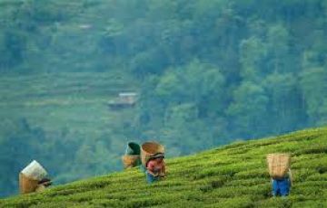 5 Days 4 Nights NJP to darjeeling sightseeings Trip Package