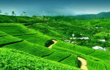 Memorable 3 Days 2 Nights bagdogra Holiday Package