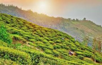 Memorable 3 Days 2 Nights bagdogra Holiday Package