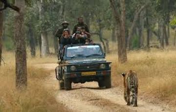 2 Days 1 Night jim corbett Vacation Package