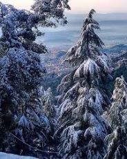 Family Getaway 6 Days 5 Nights dharamshala Tour Package