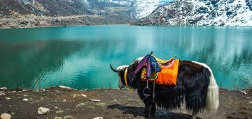 Pleasurable 4 Days 3 Nights gangtok Honeymoon Trip Package