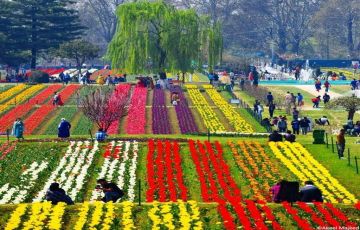 Experience 4 Days srinagar to pahalgam Holiday Package