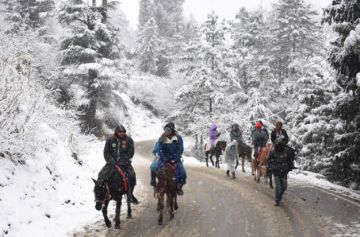 3 Days 2 Nights delhi to Vacation Package